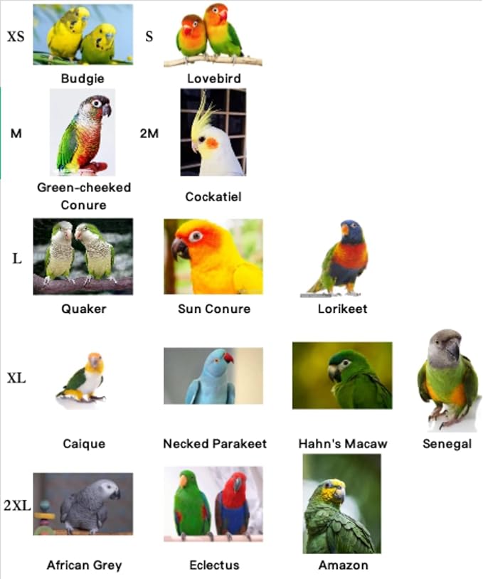 Bird Flight Harness Vest, Parrot Suit with Leash for Cockatiels Conures Budgies Lovebirds African Grey, Flying Clothes Rope and Handle Outdoor Activities Training (Medium)