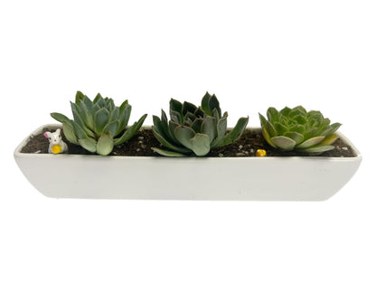 Kipokalor Rectangular Succulent Planter Pot,Two Set of 11.1x2.36x1.77inch Long Rectangular Modern Minimalist White Ceramic with Saucer for Office,Desk,Window. (Bamboo Saucer, Two Set)