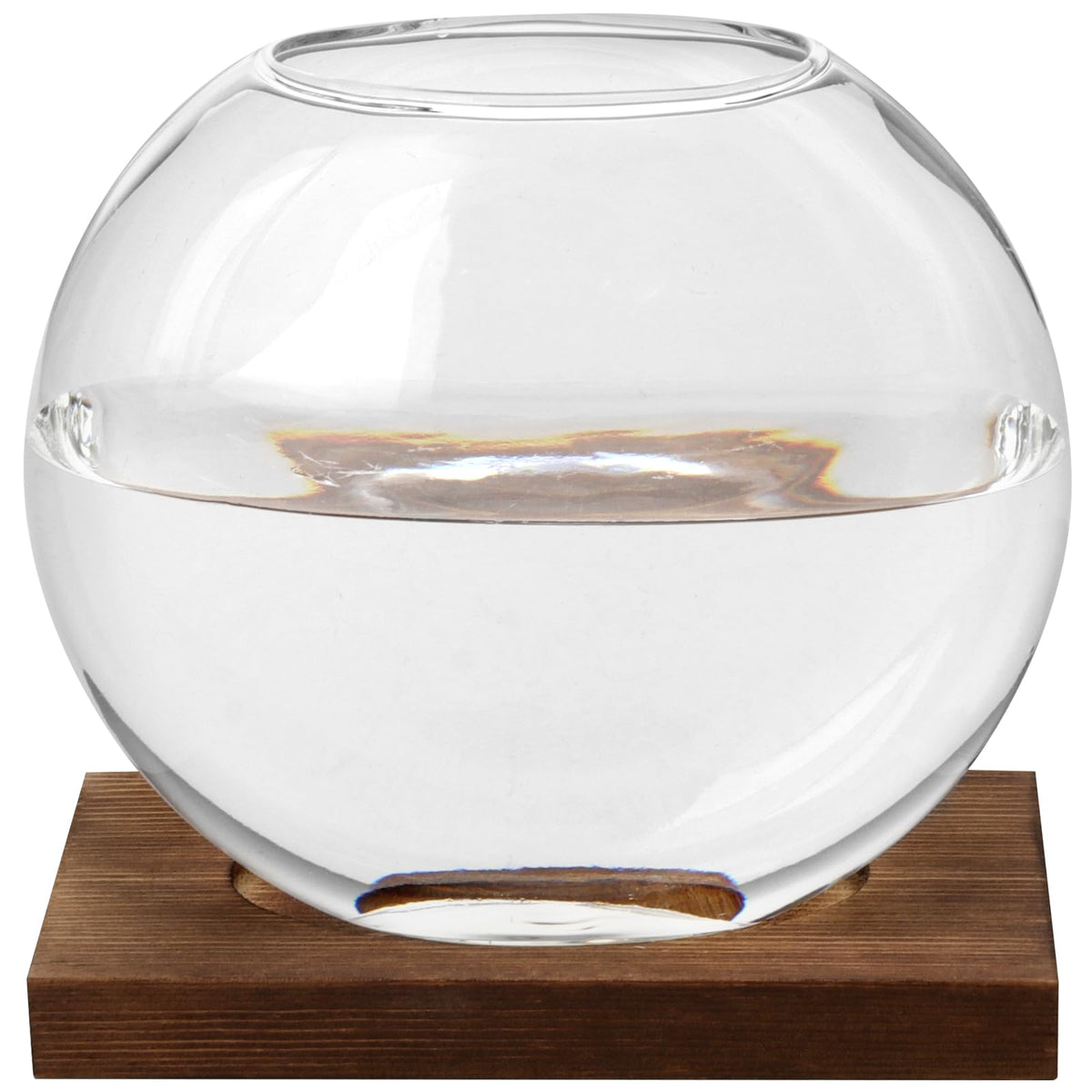 HAKZEON 4 Pack Desktop Round Glass Planter Hydroponics Vase, Glass Planter Terrarium Flower Vase with Wooden Stand, Propagated Plant Jars for Plants, Flower, Home Office Desktop Decor