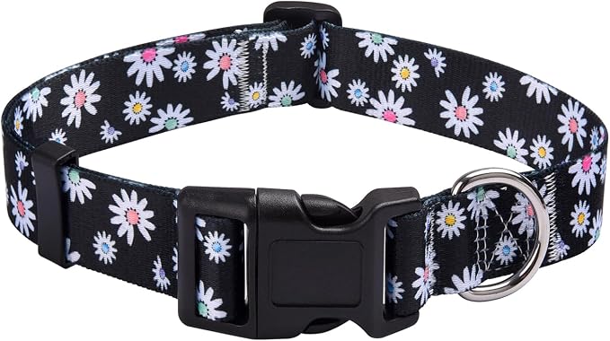 MarukoPet Dog Collar, Adjustable for Small Medium Large Dogs Puppy, Cute Design with Bohemia Floral Tribal Geometric Patterns Boys Girls Dog Collar(Black Daisy-XS)