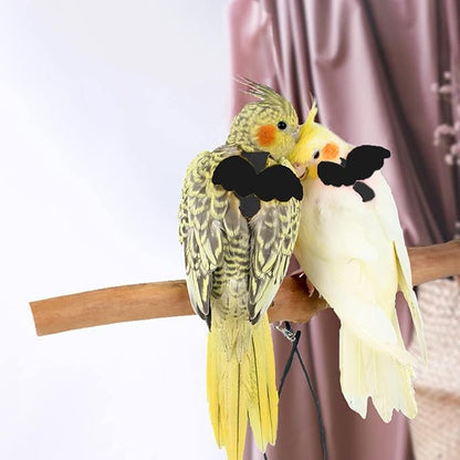 Birds Harness Leash Outdoor Flying Escape-Proof Adjustable Training Design Anti-Bite Bird Rope with Cute Wing for Parrots Scarlet Keck Mini Macaw Love Birds (Black)