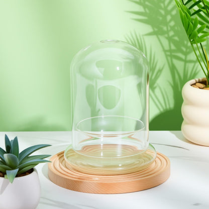 Perthlin 2 Pcs 4.7 x 6.3 Inch Glass Terrarium Clear Terrarium Planter Container Glass Dome Cloche with Airhole and Base for Plant Flower Home Tabletop Display Centerpiece, Plants Not Included