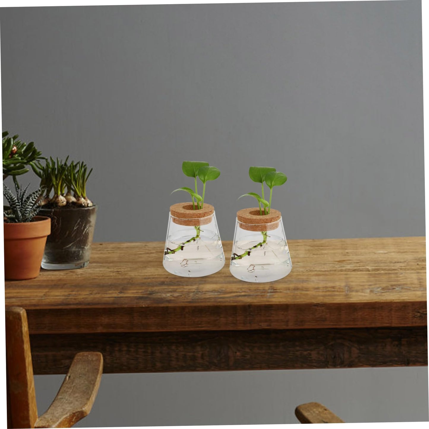 INOOMP 2Pcs Hydroponics Glass Vase for Plants Clear Smooth Terrarium Planter Home Decoration for Office and Events