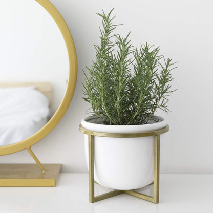 LA JOLIE MUSE Ceramic Flower Plant Pot with Stand - 6.7 Inch White Indoor Planter Pot with Gold Metal Stand for Herbs Orchids Cacti Succulents