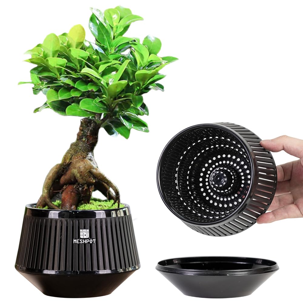 Meshpot 5 Inch Bonsai Pots with Drainage Tray, Set of 2, Plastic Imitate Ceramic Bonsai Tree Pot with Excellent Airflow, Black Succulent Pots for Indoor Plants, Juniper, Ficus, Chinese Elm, Cactus