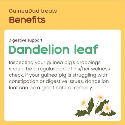 GuineaDad Organic Guinea Pig Herbal Treats - Guinea Pig Food with Convenient Packaging Dandelion Leaf Flavor 10 fl. oz - Guinea Pig Treats Help with Bonding High in Nutrition, Good for Digestion Small