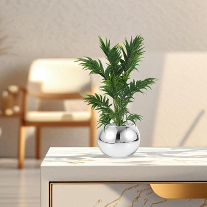 BESPORTBLE 2pcs Silver Round Glass Vase Set – Modern Sphere Flower Holder for Hydroponic Plants, Small Air Terrarium Centerpiece for Home and Office Tables