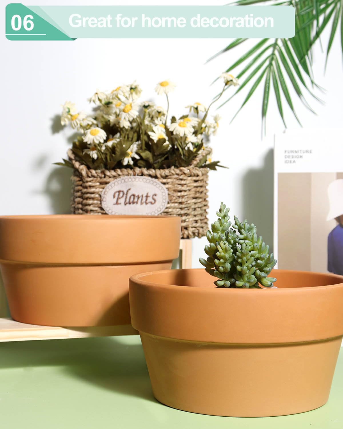 vensovo 8 Inch Terracotta Shallow Succulent Pot - 2 Pack Large Terra Cotta Clay Pot, Cacuts Indoor and Outdoor Planters with Drainage Hole