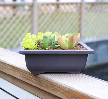 MUZHI 12PACK RetroStyle Plastic Bonsai Training Pots Balcony Indoor Rectangle Square Flower Pots 6"
