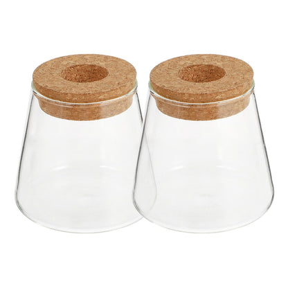 DOITOOL 2pcs Hydroponic Glass Planting Pots Small Terrarium Vase with 6.5cm Opening for Indoor Garden Decoration and Water Plant Propagation