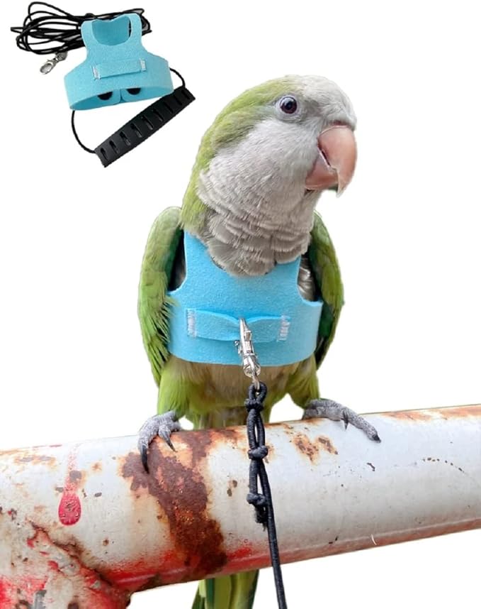 Bird Flight Harness Vest Parrot Flight Suit with Leash for Parakeets Cockatiels Conures Budgies, Bird Flying Clothes with Rope and Handle for Outdoor Activities Training (S,Blue)