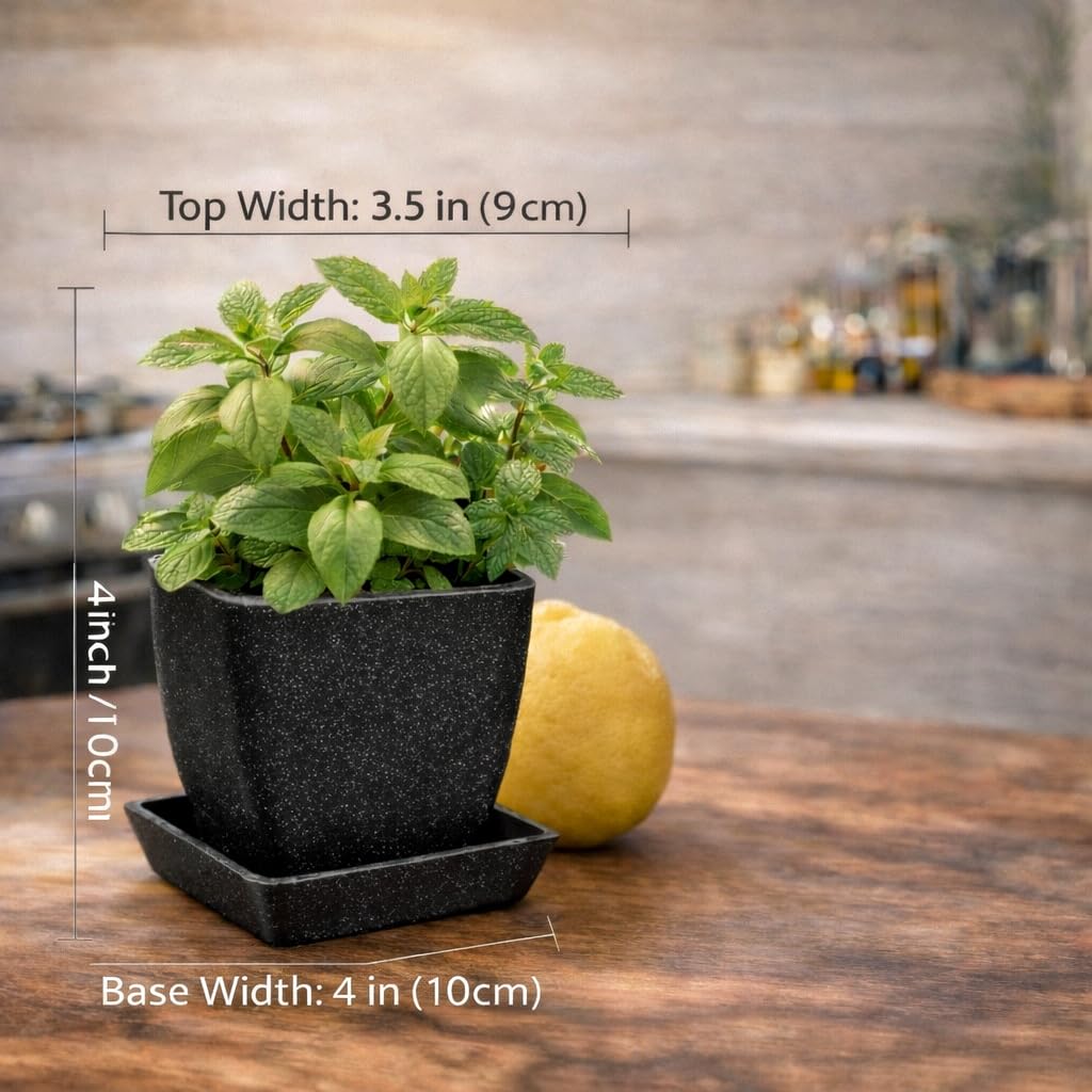 5 Pack 3.5 Inch Small Planter Pots with Drainage Holes and Saucers, Matte Square Indoor Plant Pots for Succulents and Herbs, Lightweight Modern Planters for Kitchen Herb Garden, Windowsill or Desk