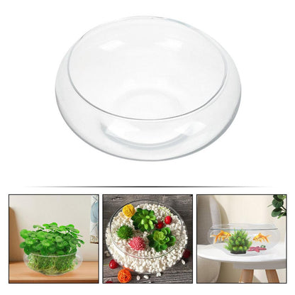 Glass Bubble Bowl - Wide Mouth Flower Vase Clear Bubble Planter Terrarium Aquatic Plant Pot Shallow Fish Tank for Centerpiece Hydroponic Succulent