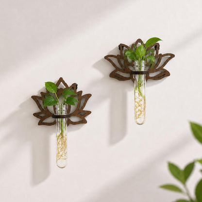 Artilady Plant Propagation Station 2 Pack Wall Hanging Plant Terrarium Holder with Test Tube Wood Window Planter Indoor Decor for Living Room Bedroom Kitchen (Lotus)