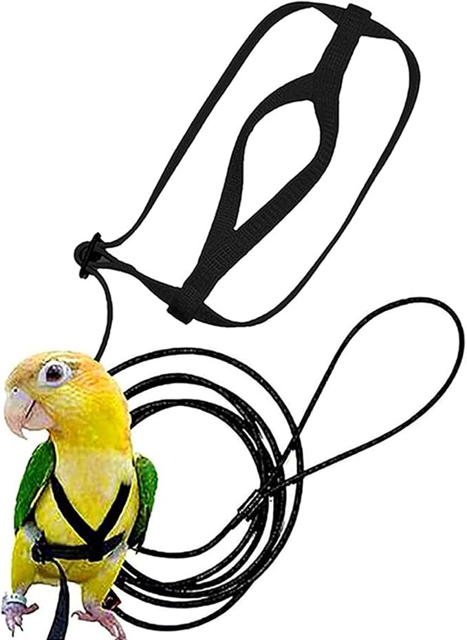 Bird Harness, Adjustable Bird Leash Pet Training Supplies Anti-bite Outdoor Flying Nylon Rope for Conures Budgerigar Lovebir