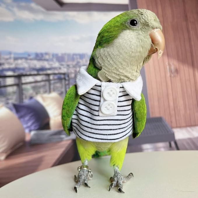 Bird Diaper Flight Suit for Parrots, Lovebirds, Parakeets & Cockatiels - Summer Clothes Cosplay Photo Prop - Small Animal Apparel (Without Diaper, Crested Myna)