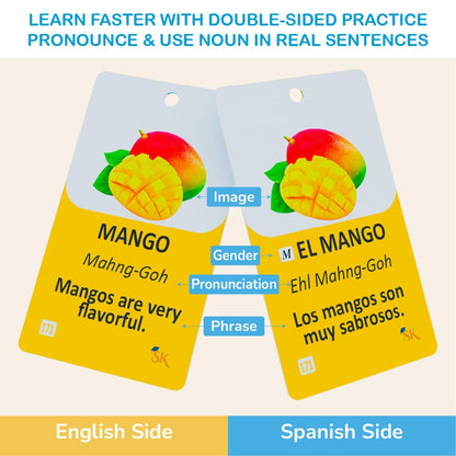 300 Bilingual English Spanish Flash Cards for Adults & Kids Ages 12+ Beginners - Noun Vocabulary with Pictures, Pronunciation, Sentences, Adult Self Study & Learn Spanish Workbooks for Adults