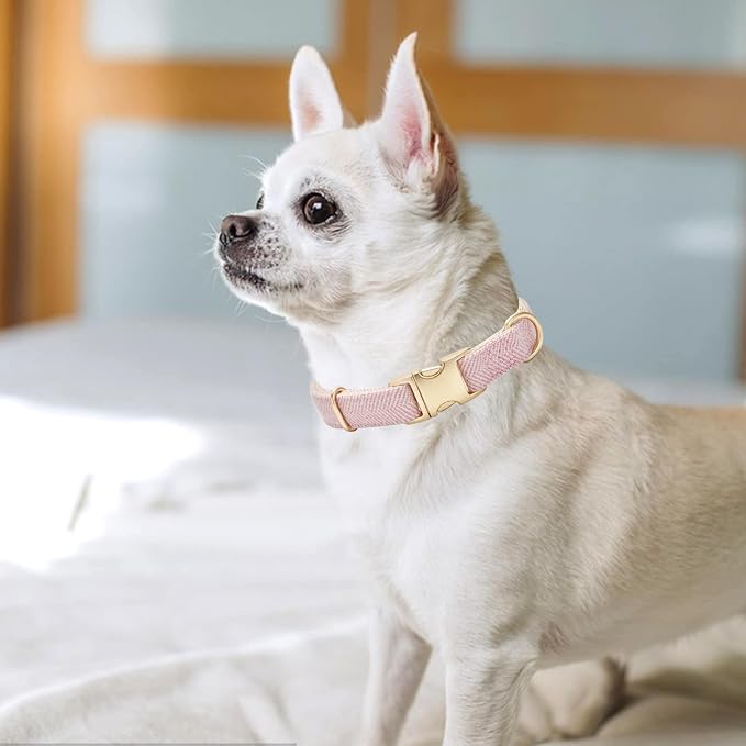 Luxury Soft Cotton Tweed Fabric Dog Collar & Leash Set with Gold Buckle – Durable Fabric, Stylish Design for Everyday Walks(Medium Pink)
