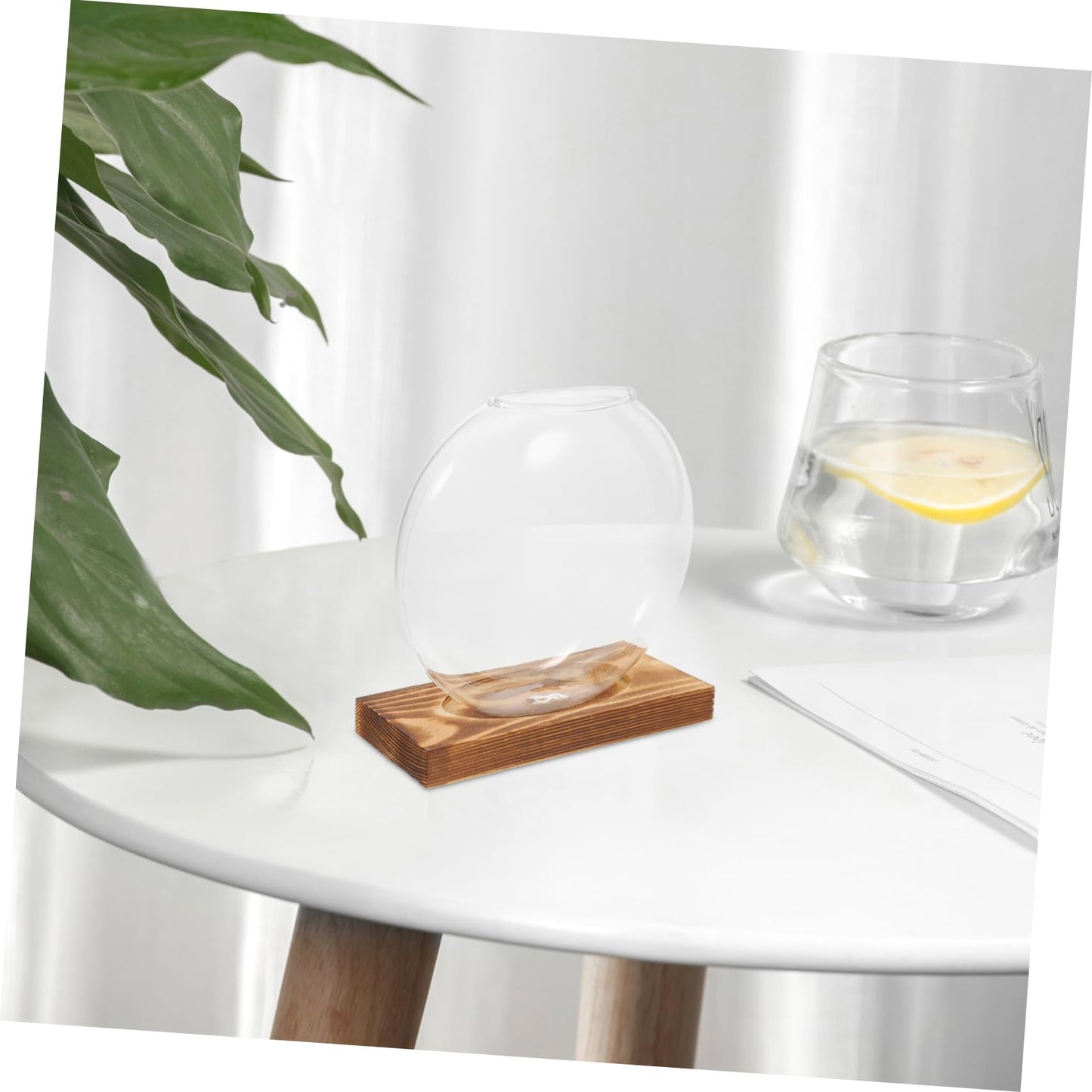 Toyvian Transparent Hydroponic Propagation Vase with Wooden Base Soil Glass Planter for Indoor Plants Terrarium Jar for Root Observation Versatile Decorative Hydroponic Station for Home