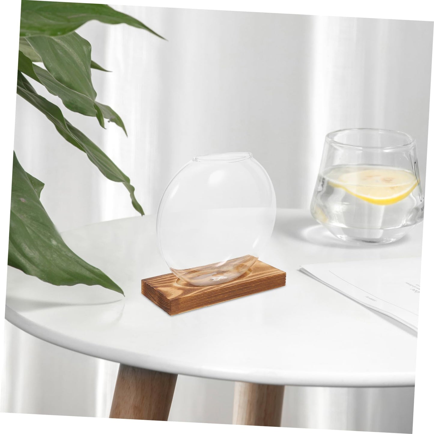 SEWOART Rustic Hydroponic Vase Glass Terrarium Bowl Indoor Greenery Decor Wooden Base Plant Propagation Station for Home Office