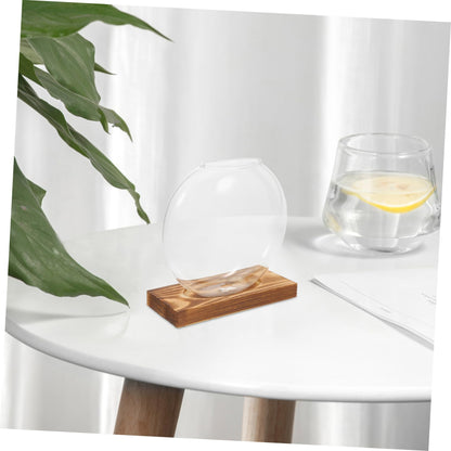 SEWOART Rustic Hydroponic Vase Glass Terrarium Bowl Indoor Greenery Decor Wooden Base Plant Propagation Station for Home Office