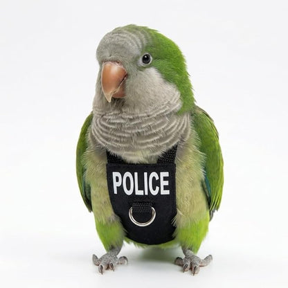 Bird Diaper Flight Suit, Cute Cosplay Parrot Clothes, Easy-to-Wear Washable Nappy, Durable Metal Ring Harness for Cockatiel, Conure, African Grey, Parakeet Outdoor Flying (Without Leash,XL)