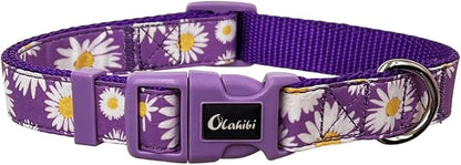 Dog Collar Leash Set, Floral Pattern, Nylon Webbing Plus Cotton Ribbon, 5ft Matching Leash, for Large Dogs.(L, Purple Daisy)