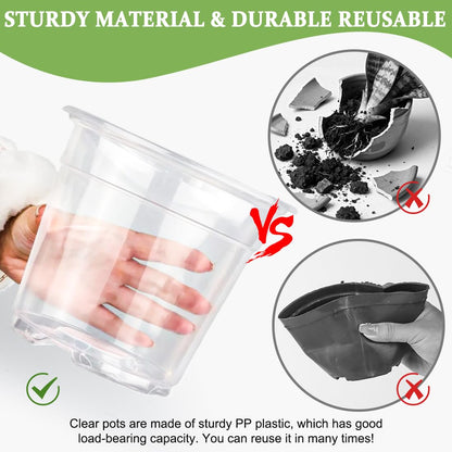 RooTrimmer 60 Pack 6 Inch Clear Nursery Pots for Plants, Flexible Plastic Plant Pots with Drainage Holes, Transparent Plant Starter Pots for Seedlings, Vegetable, Succulents, Flowers