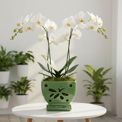 Grdthzey Orchid Pots with Holes Square Ceramic Orchid Planter Pots 5.5 inch (Green)
