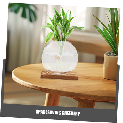 FUTUREORYY 2pcs Indoor Plant Vase with Wooden Base, Hydroponic Glass Planter for Propagation, Desktop Terrarium Suitable for Home and Office Décor