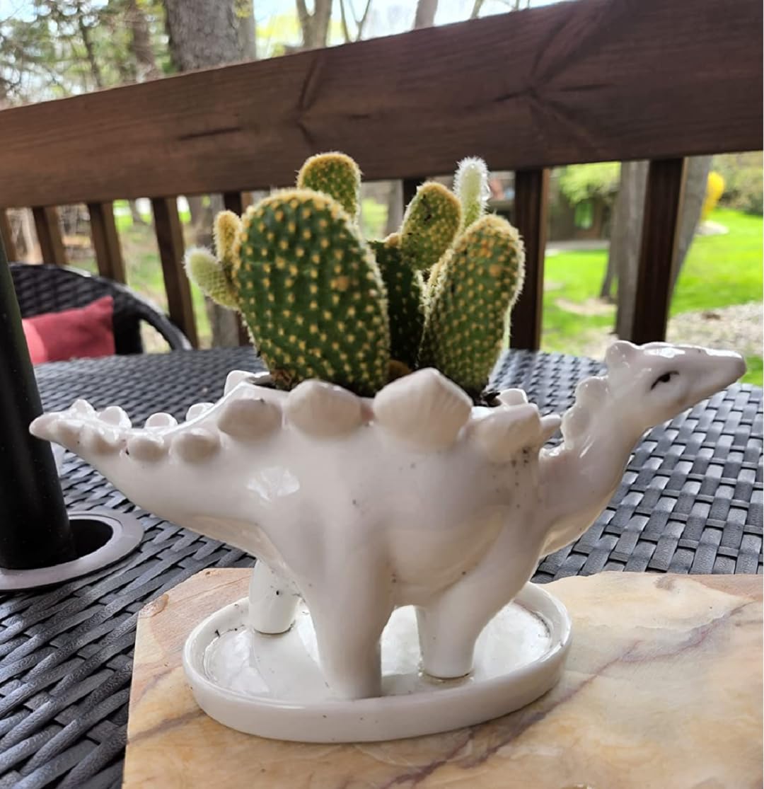 zmgmsmh Ceramic Succulent Plant Pot Cactus Plant Pot Flower Pot Container Planter with Drainage Hole Home Office Desk Garden Gift Idea Animal Shaped Flower Pot Cute Vase Pot (4pcs Dinosaur)