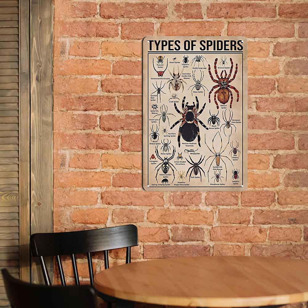 Types of Spiders Metal tin Sign Suitable for Insect Lovers, Study Rooms, Animal Crawl Spaces, Man cave 12 * 8 inch