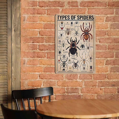 Types of Spiders Metal tin Sign Suitable for Insect Lovers, Study Rooms, Animal Crawl Spaces, Man cave 12 * 8 inch