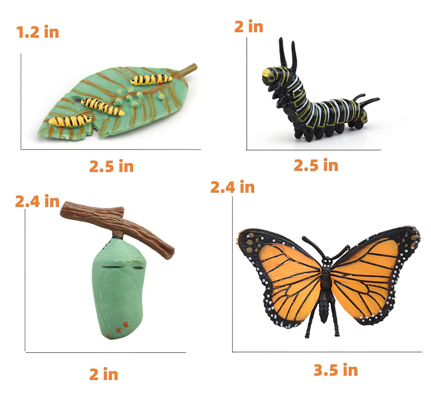 MIKNEKE Montessori Life Cycle Learning & Education Toys, Plastic Insect Ladybug Monarch Butterfly Tadpole to Frog Kit Life Cycle Toys for Kids, Preschool Learning Activities for Toddlers