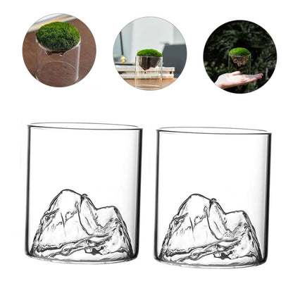 Parliky Terrarium Jars Set DIY Landscape Glass Bottle Moss Home Decor Plant Container