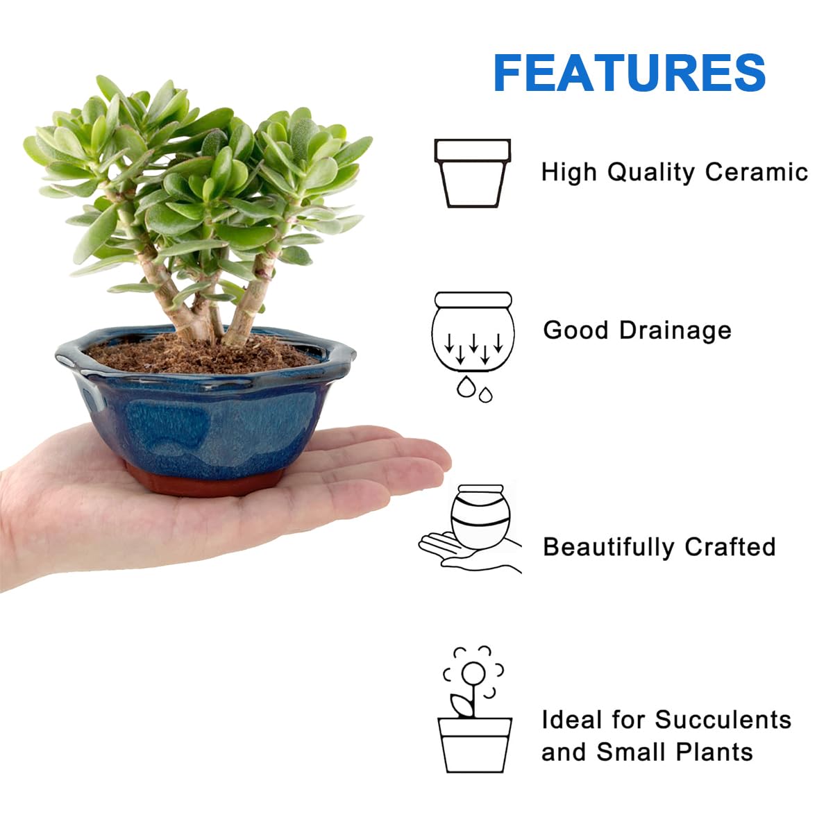 Bonsai Planter Succulent 5" Small Glazed Pots, Value Set of 2 + 4 Soft Mesh Drainage Screens