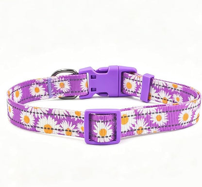 Dog Collar Leash Set, Floral Pattern, with Safety Reflective Strips, 5 ft Matching Leash, Neoprene Padded Handle, Adjustable 4 Sizes for Small Medium Large Dogs.(XS, Purple Daisy)