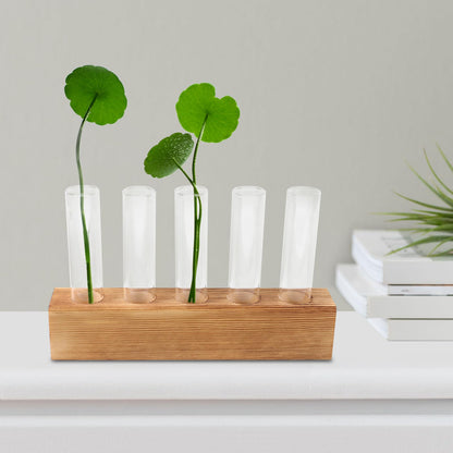 Gadpiparty Hydroponic Plants Vase with 5-Hole Glass Test Tubes and Wooden Stand, Water Propagation Station for Indoor Plant Growth and Desktop Terrarium Decor