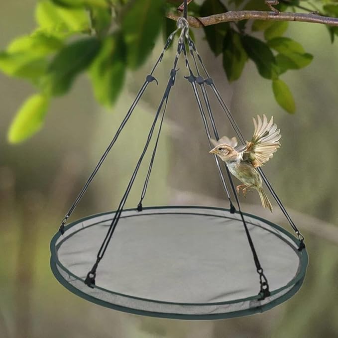 Bird Seed Catcher Tray for Hanging Bird Feeder, Large Outdoor Platform Tray with Adjustable Hanging Hoop, Deep Birdseed Holder for Hummingbird and Bee Feeders in Garden, Lawn, Backyard (M)