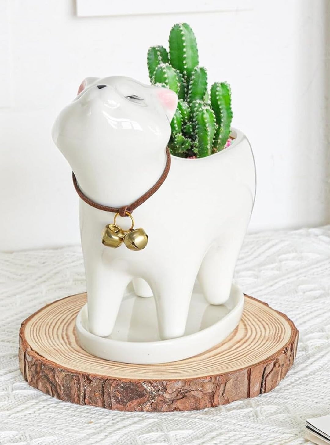 zmgmsmh Ceramic Succulent Plant Pot Cactus Plant Pot Flower Pot Container Planter with Drainage Hole Home Office Desk Garden Gift Idea Animal Shaped Flower Pot Cute Vase Pot (White Cat)