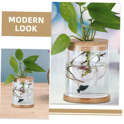 Cabilock 6Pcs Cork Lids for Hydroponic Vases Sustainable Transparent Glass Stoppers for Terrarium and Plant Propagation for Indoor Home Decor Elegant Micro Landscape Display