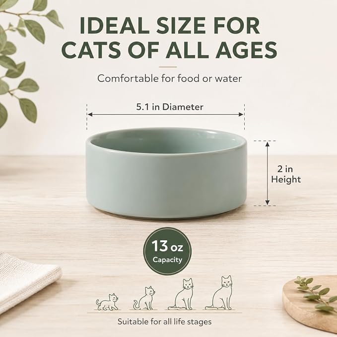 Havniva Cat Bowls Water Bowl Set of Two, 5.1” Ceramic Cat Food and Water Bowl Whisker Friendly Pet Food Bowls for Indoor Cats, Wide Cat Water Dish Prevent Whisker Fatigue Non Slip Cat Feeder