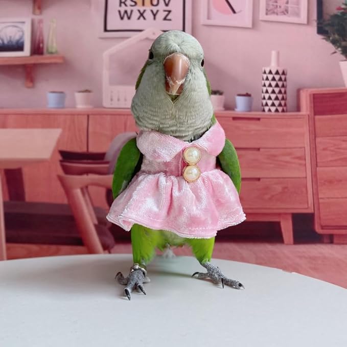 Bird Costume Bird Diaper Flight Suit Parrot Velvet Fleece Skirt Clothes Cosplay Photo Prop for Conure Lovebird Parakeet Cockatiel Macaw Small Animals Apparel (Pink,2M)