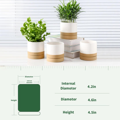 HASENSE 4.6 Inch Plant Pots, Ceramic Flower Pots for Indoor Plants, Small Two-Tone Design Planter with Drainage Hole and Saucer, Cute Windowsill Tabletop Decor, Set of 4, White-Brown