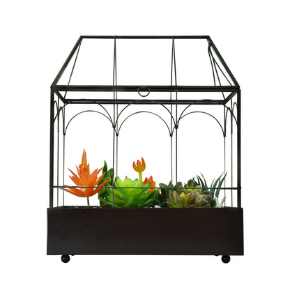 Large Tall Glass Plant Terrarium – House Succulent Terrarium Kit with Lip and Tray Glass Greenhouse Terrarium for Plant 9.5”X5.7”X11.4”