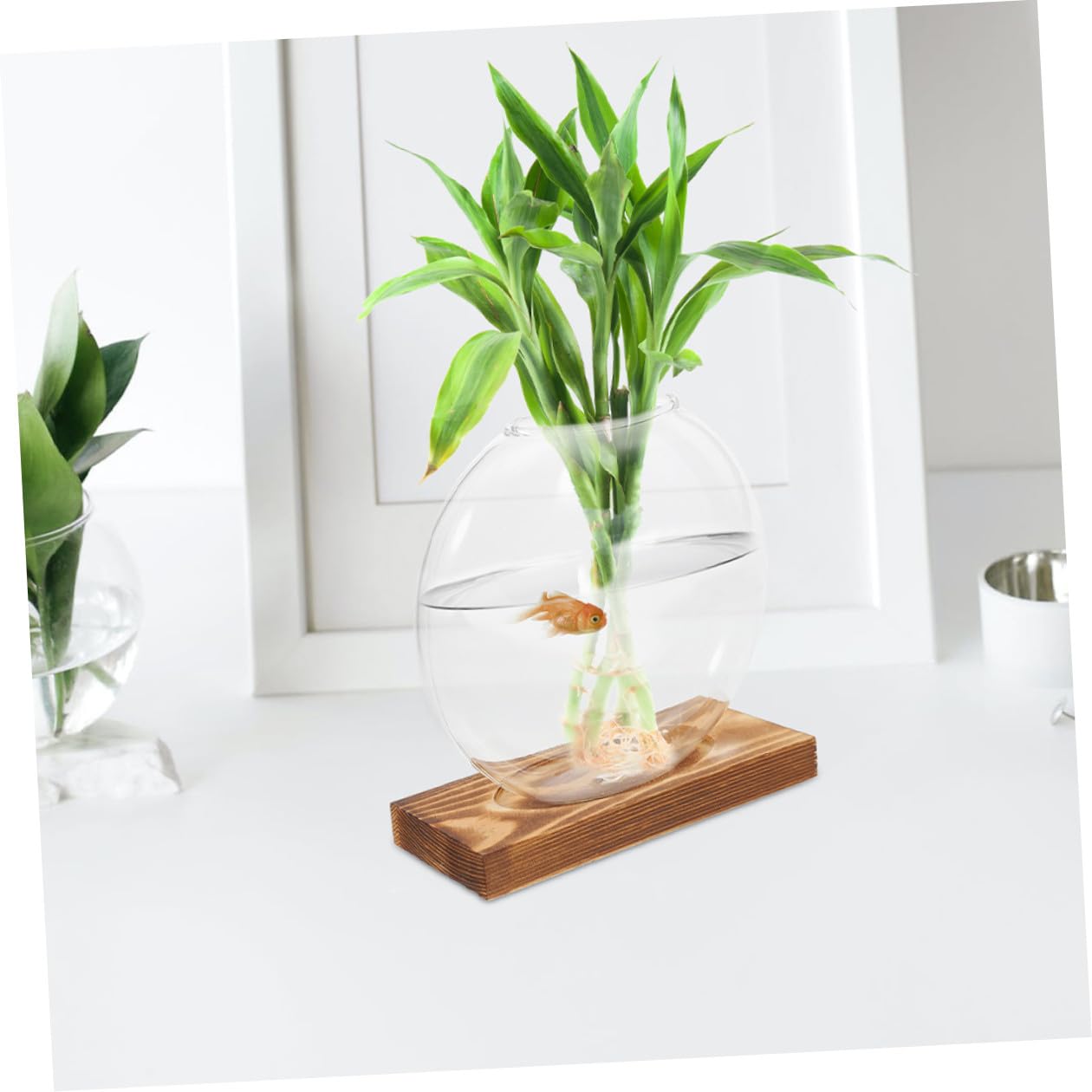 Wakauto 2pcs Hydroponic Glass Propagation Vases with Wooden Base, Plant Terrarium Containers for Indoor Water Plants, Desktop Flower Vase Set for Home and Office Décor