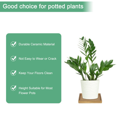 M METERXITY 2-Pack Ceramic Plant Saucer, 5 Inch Plant Water Catcher Tray, Plant Pot Saucers for Indoor/Outdoor Plants/Flower Drainage Drip Water Tray [Square Gold]