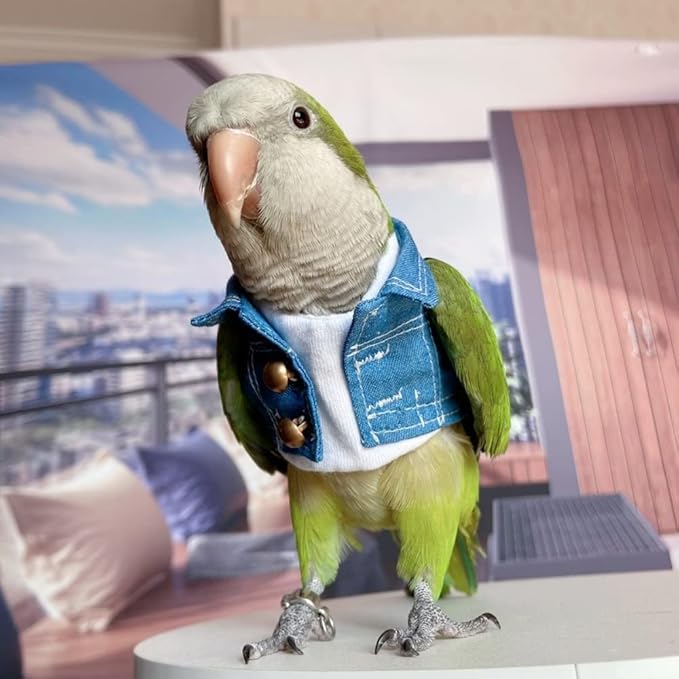 Bird Costume Bird Diaper Flight Suit Bird Jeans Fake Two Pieces Bird Clothes Cosplay Photo Prop for Parrots Lovebird Parakeet Cockatiel Small Animals Apparel (Without Diaper,Green-cheeked Conure)