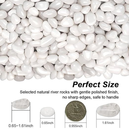 Terrarium Supplies,Virekm River Rocks Decorative Ornamental Pebbles,Garden Landscaping Stones,Gravel Filler for Home Decoration Flower Bed Fish Tank Plants Vases Succulents (1, White, 1 Pounds)