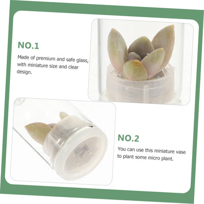 ifundom 6Pcs Miniature Glass Terrarium Keychain Pendant for Air Plants Miniature Vases Accessories for Plant Propagation and Home Decor